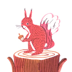 Eichhörnchen