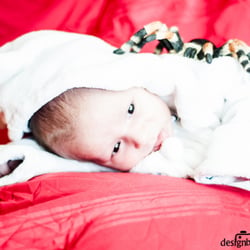 baby & sophia