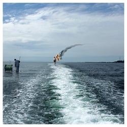 helgoland