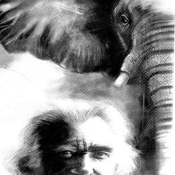 elephant and man