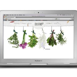 Web / Herbs in the city / Web Design