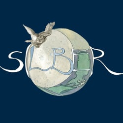 Buchover „Silber “ Das erste Buch der Träume