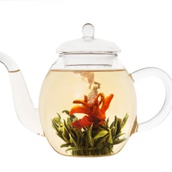 Lilly Fairy