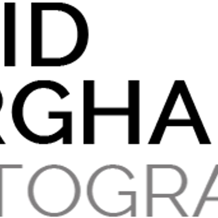 David Burghardt