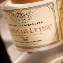 Food – Meine Weinlese in Frankreich