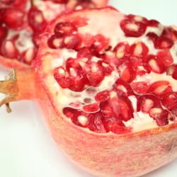 Granatapfel November 2012