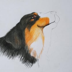 Zwischenschritt, Buntstift