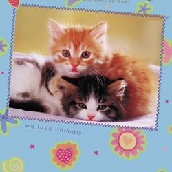 cats6