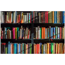 https://pediapress.com/books/show/c68b273d22f0c46631359b5f6cbb3b/