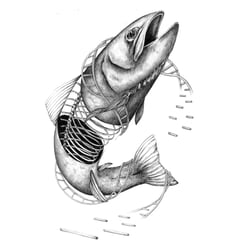 MarieAbramowicz TheChange image2