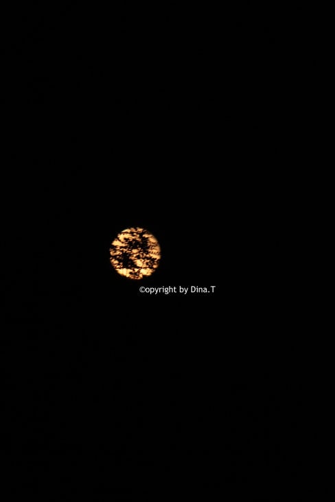 Moon – Jun. 2014 © by Dina.T