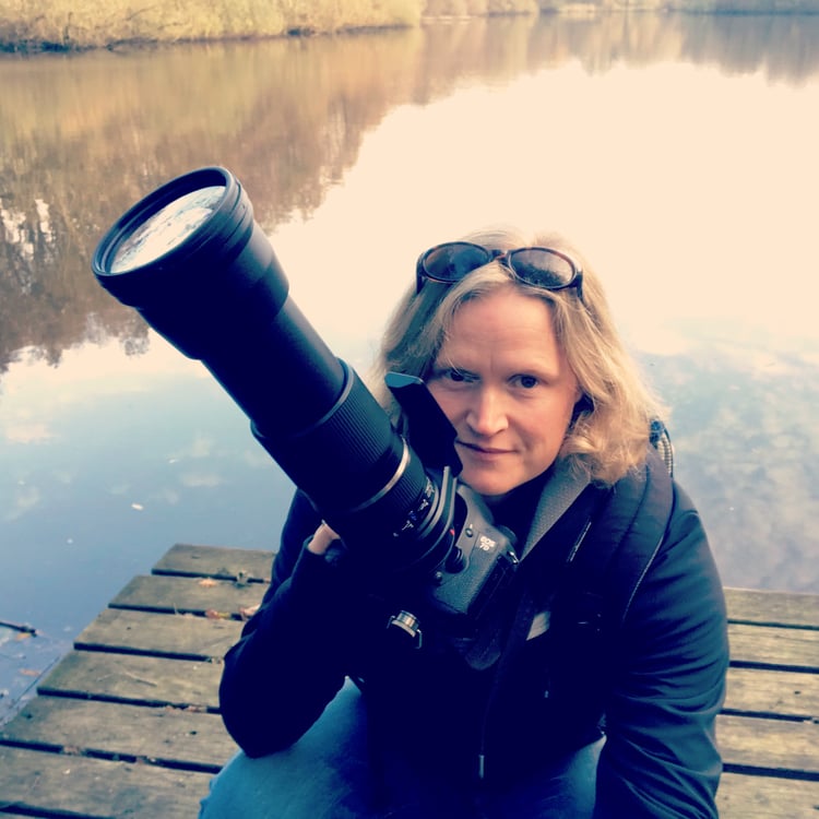 Susanne Binnewies