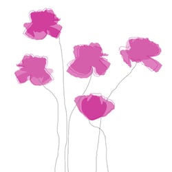Mohnblüten
