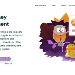 Website illustrations