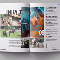 Editorial Design „Du und das Tier“
