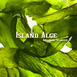 globuskind Hoffmann Packagingdesign riffi-Island-Alge