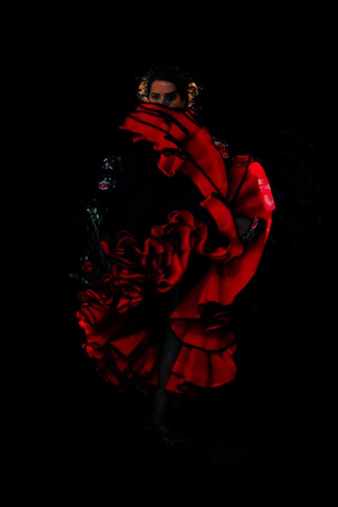 flamenco