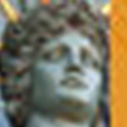 Berlins Grüne Orte Innenseiten