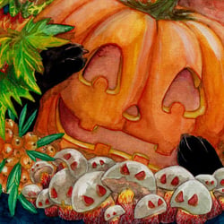 shrooms