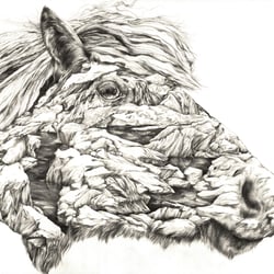Eispferd