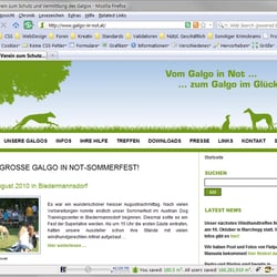 Screenshot Galgo in Not