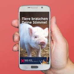 BUND Sachsen e.V.