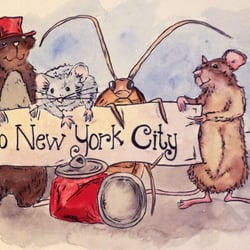 Welcome to New York