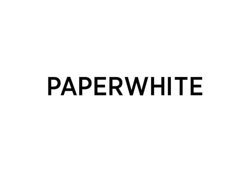 Paperwhite Studio GmbH