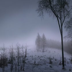 Winter im Harz