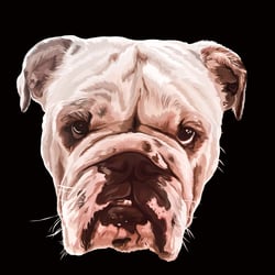 Hugo | digital art