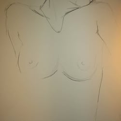 akt 2008