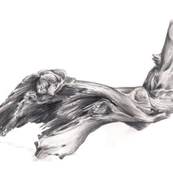 “STRANDGUT” – Graphit