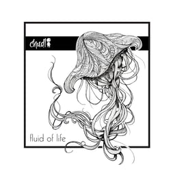 Artwork EP „fluid“ (Chudl)