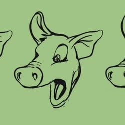 „Schweinrich“ expressions: astonishment – shock