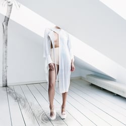 Animal Spirit / Fault Magazine 2013