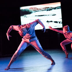Performing, Moving, Imaging Landscapes