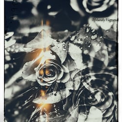 Fotokunst