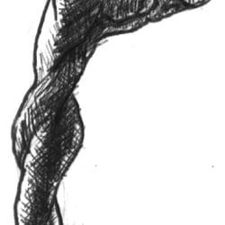 C  schwarz