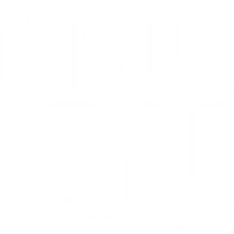 Klaus Naumann