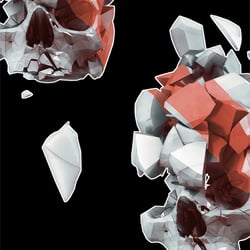 PolySkull