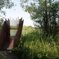 IMG-03