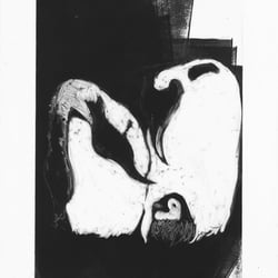 Pinguine, Monotypie