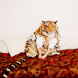 tiger mappe int ts