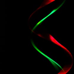 Lights