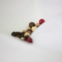 Pepper 2012