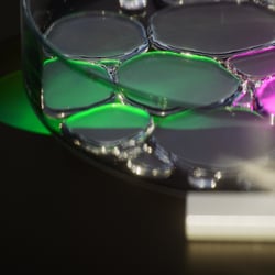 Microscopic Exploration