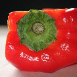 Paprika 07