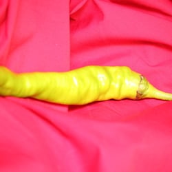 Food Photography 2012