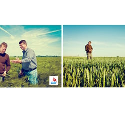 www.thisisvermilion.de