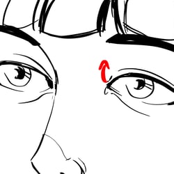 „Lotus“ – Animation – Storyboard